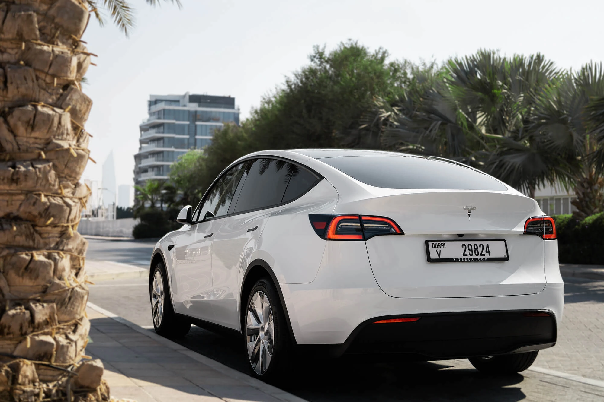 Tesla Model Y Wit