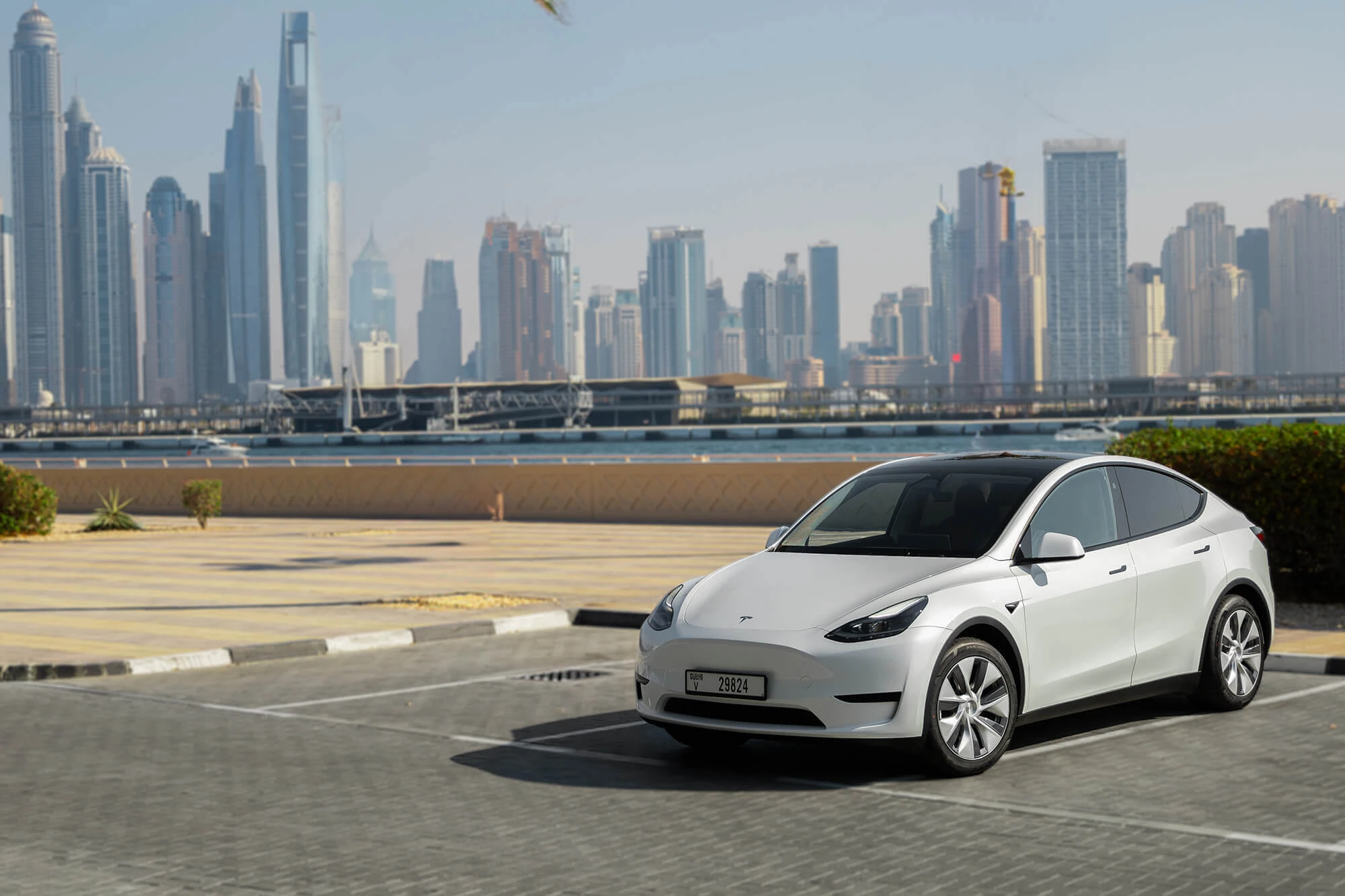 Tesla Model Y White