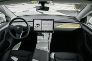 Tesla Model Y Wit