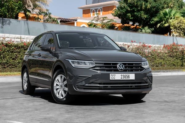 大众 Tiguan 灰色