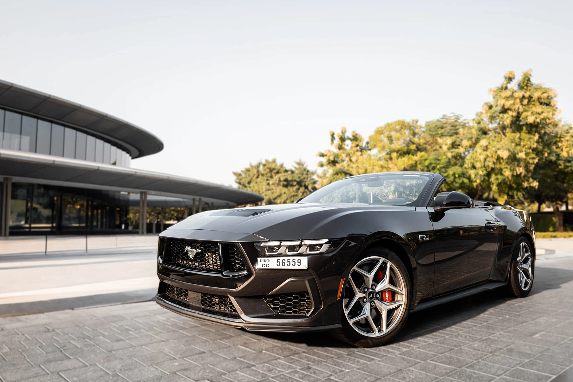 Ford Mustang GT Cabrio Neue Generation Grau