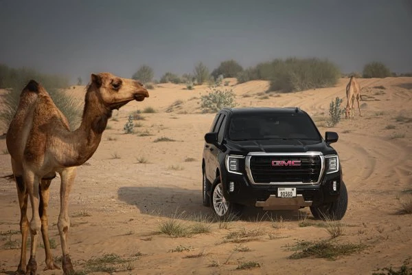 GMC Yukon Schwarz