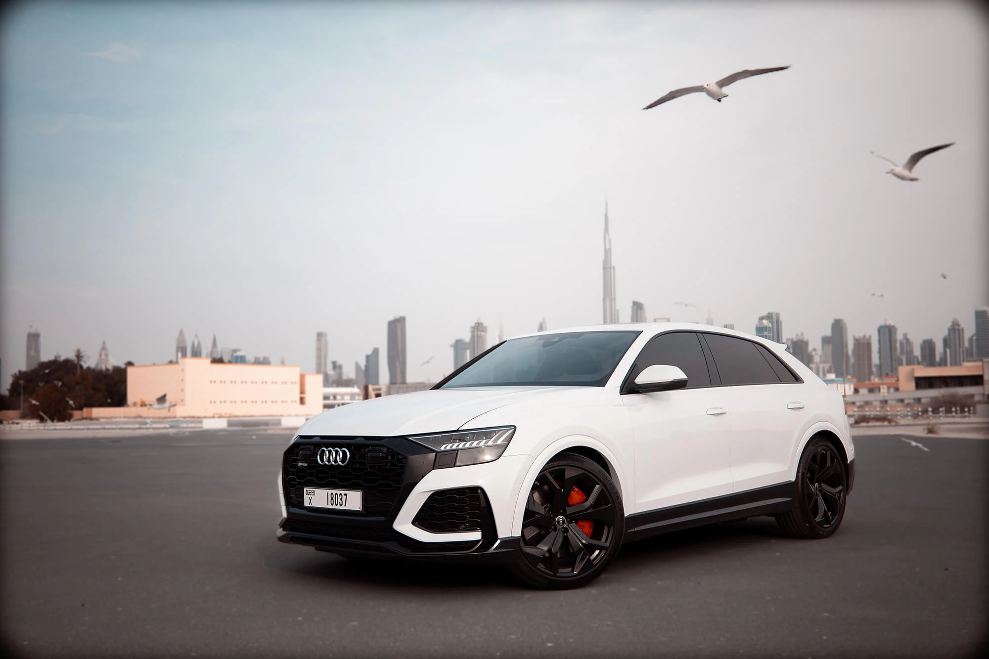 Audi RSQ8 Hvid