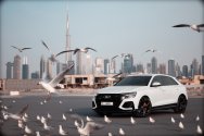 Audi RSQ8 Hvid