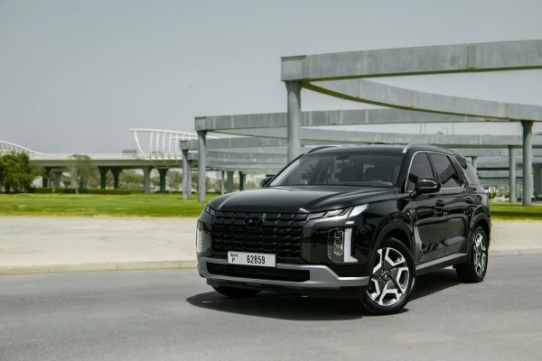 Hyundai Palisade Zwart