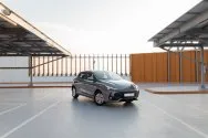 MG 3 Grey