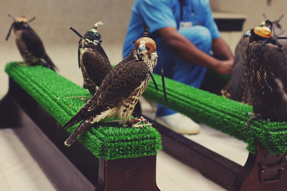 40 Tourist Attractions in Abu Dhabi You Need to Visit