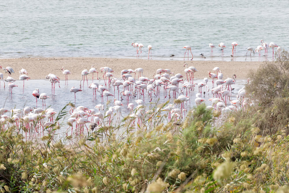 40 Tourist Attractions in Abu Dhabi You Need to Visit