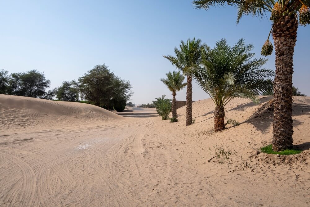 Bab_Al_Shams