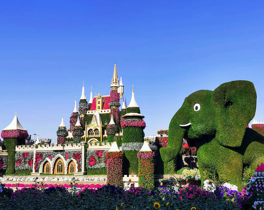 Jardin des miracles