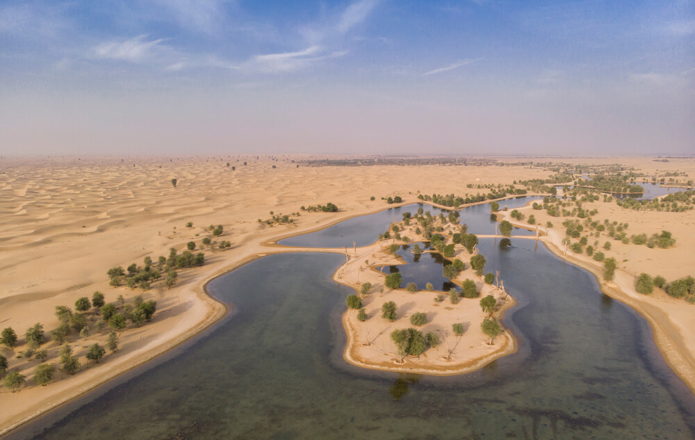 Explorer les lacs d'Al Qudra en voiture