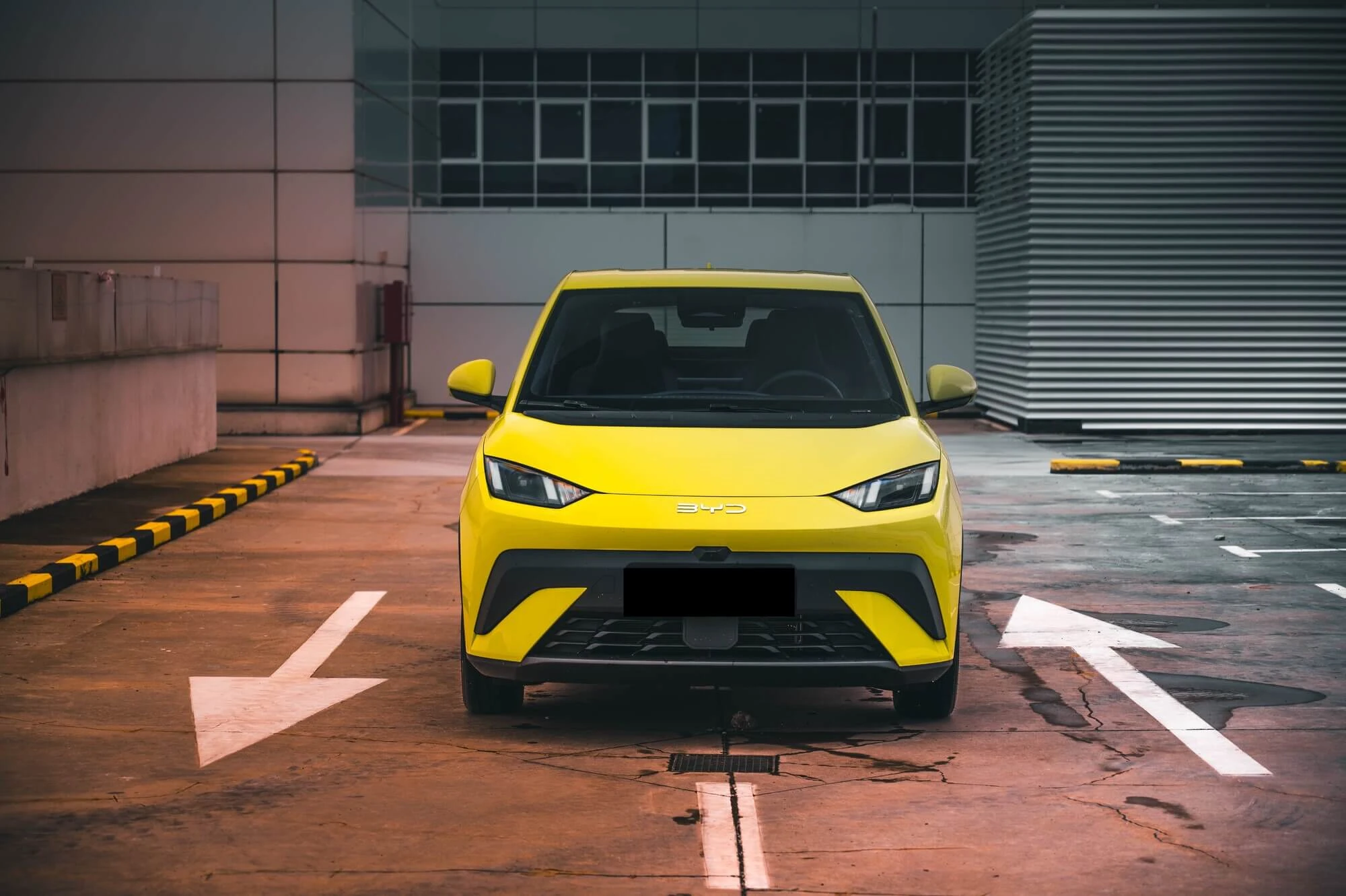 BYD Dolfijn Surf Geel