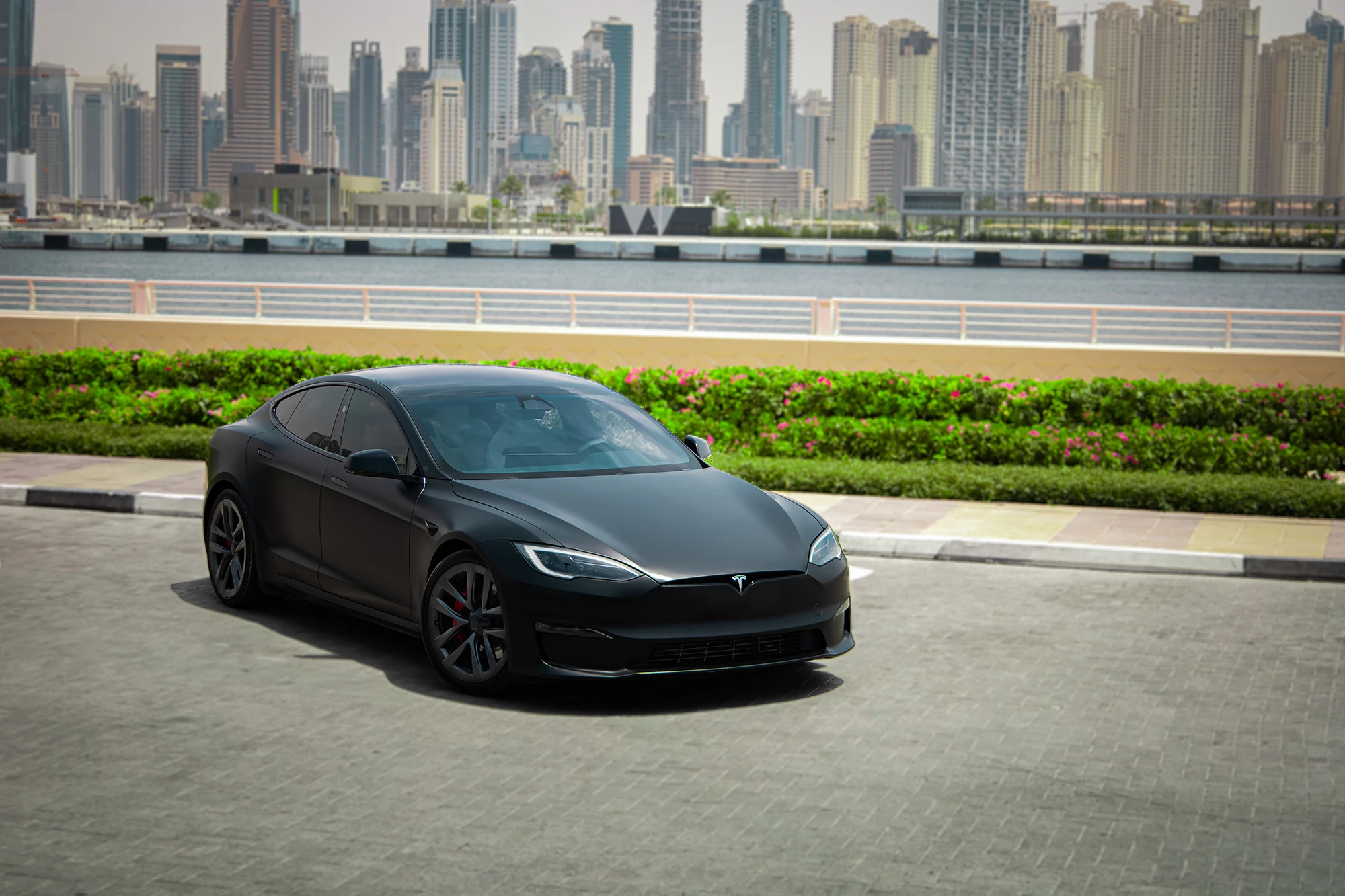 Tesla Model S Xadrez Preto Mate