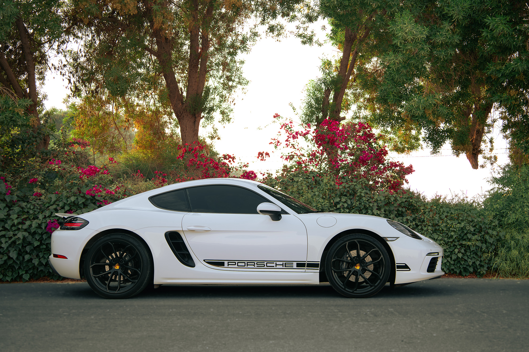 Porsche Cayman White