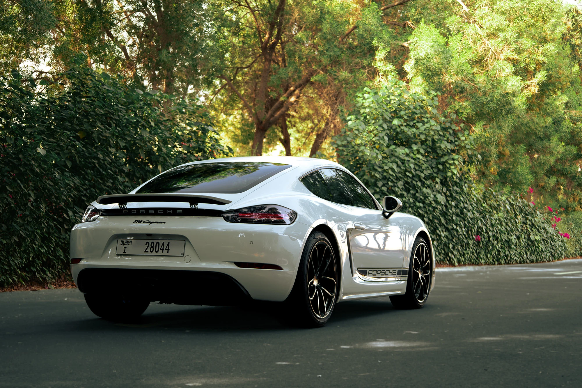 Porsche Cayman לבן Porsche Cayman לבן