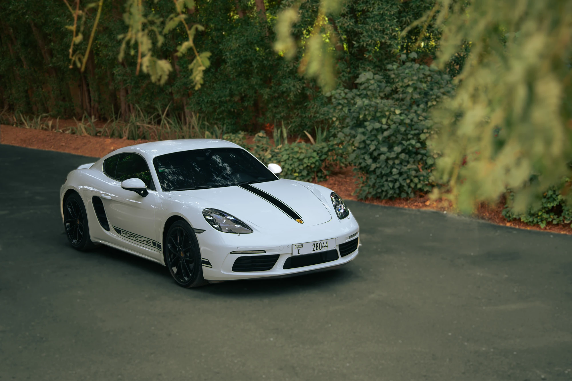 Porsche Cayman לבן Porsche Cayman לבן