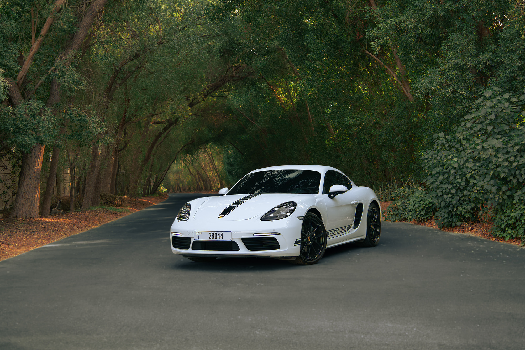 Porsche Cayman White