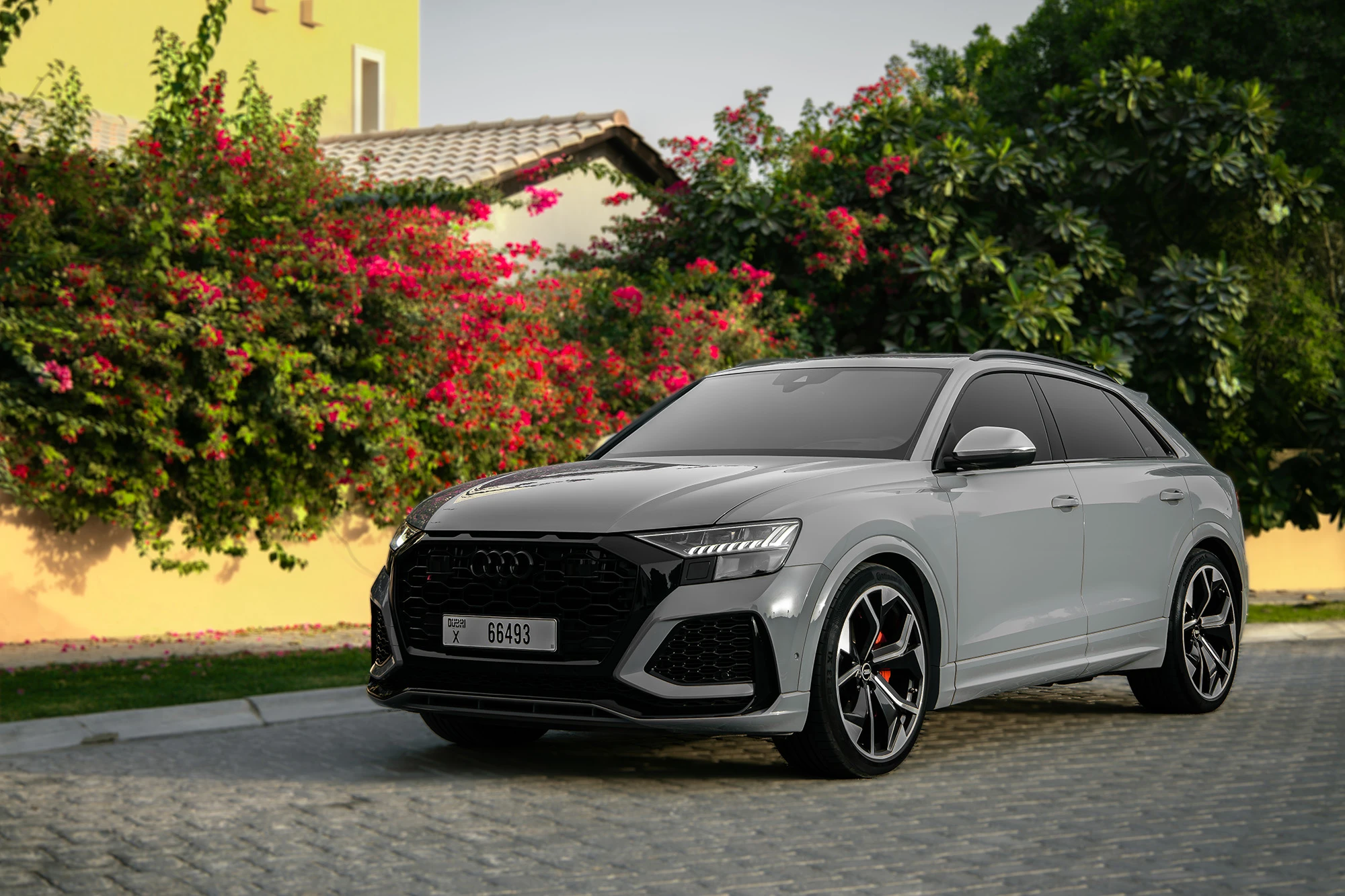 Audi RSQ8 Grigio