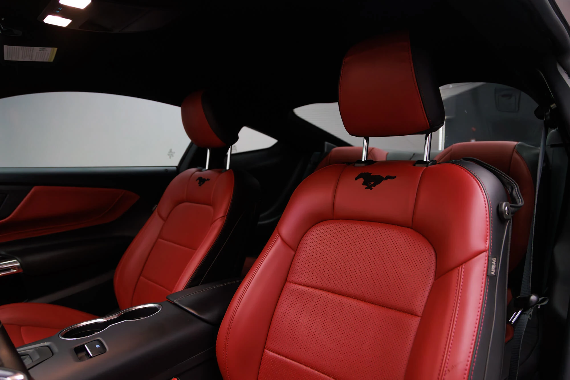 Ford Mustang New Gen White & Black