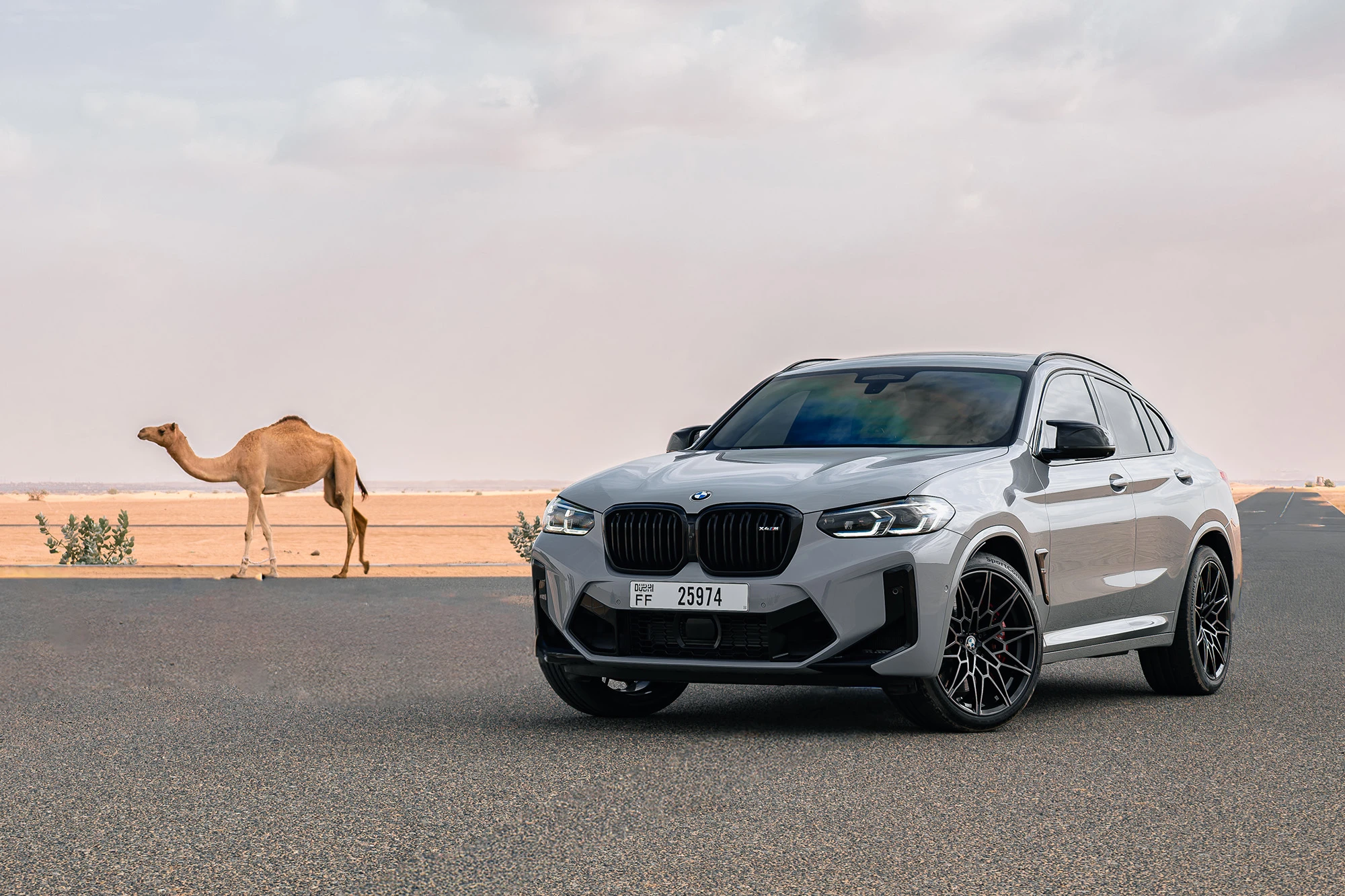 BMW X4M Gris Compétition
