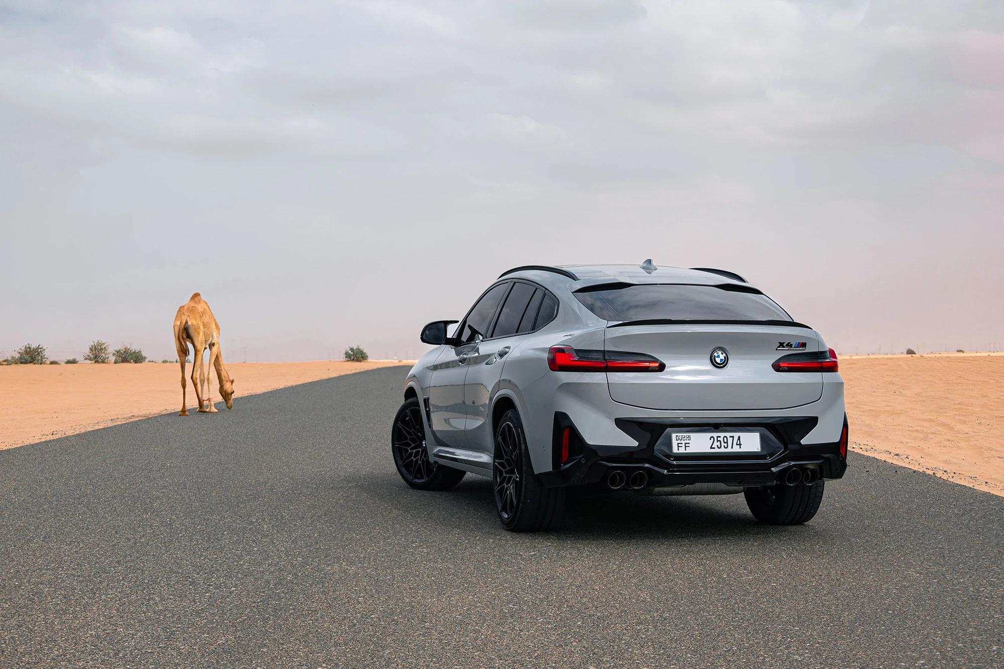 BMW X4M תחרות אפור BMW X4M תחרות אפור