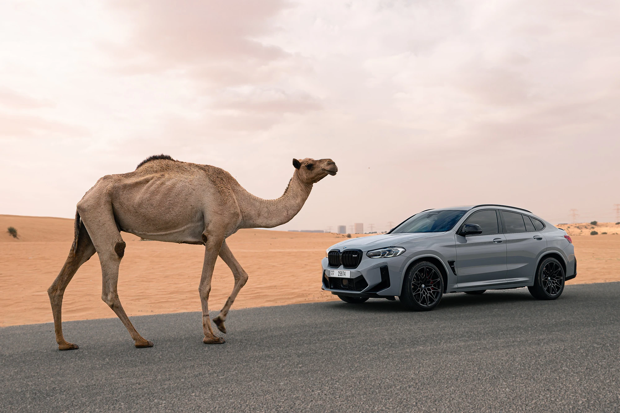 BMW X4M תחרות אפור BMW X4M תחרות אפור