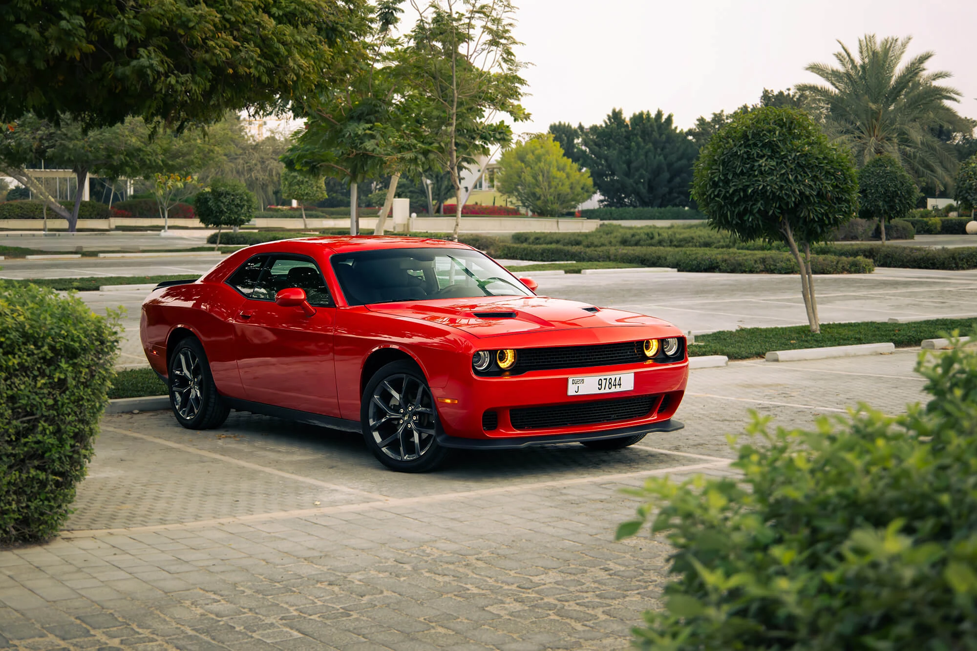 Dodge Challenger אדום Dodge Challenger אדום