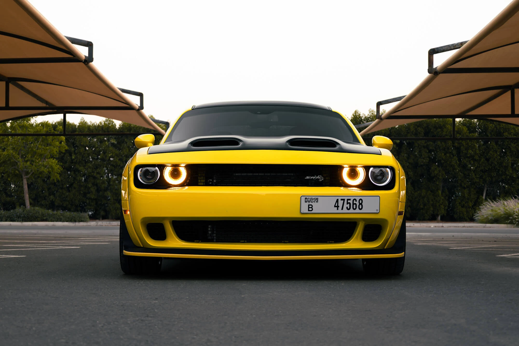 Dodge Challenger R/T Scat Pack צהוב