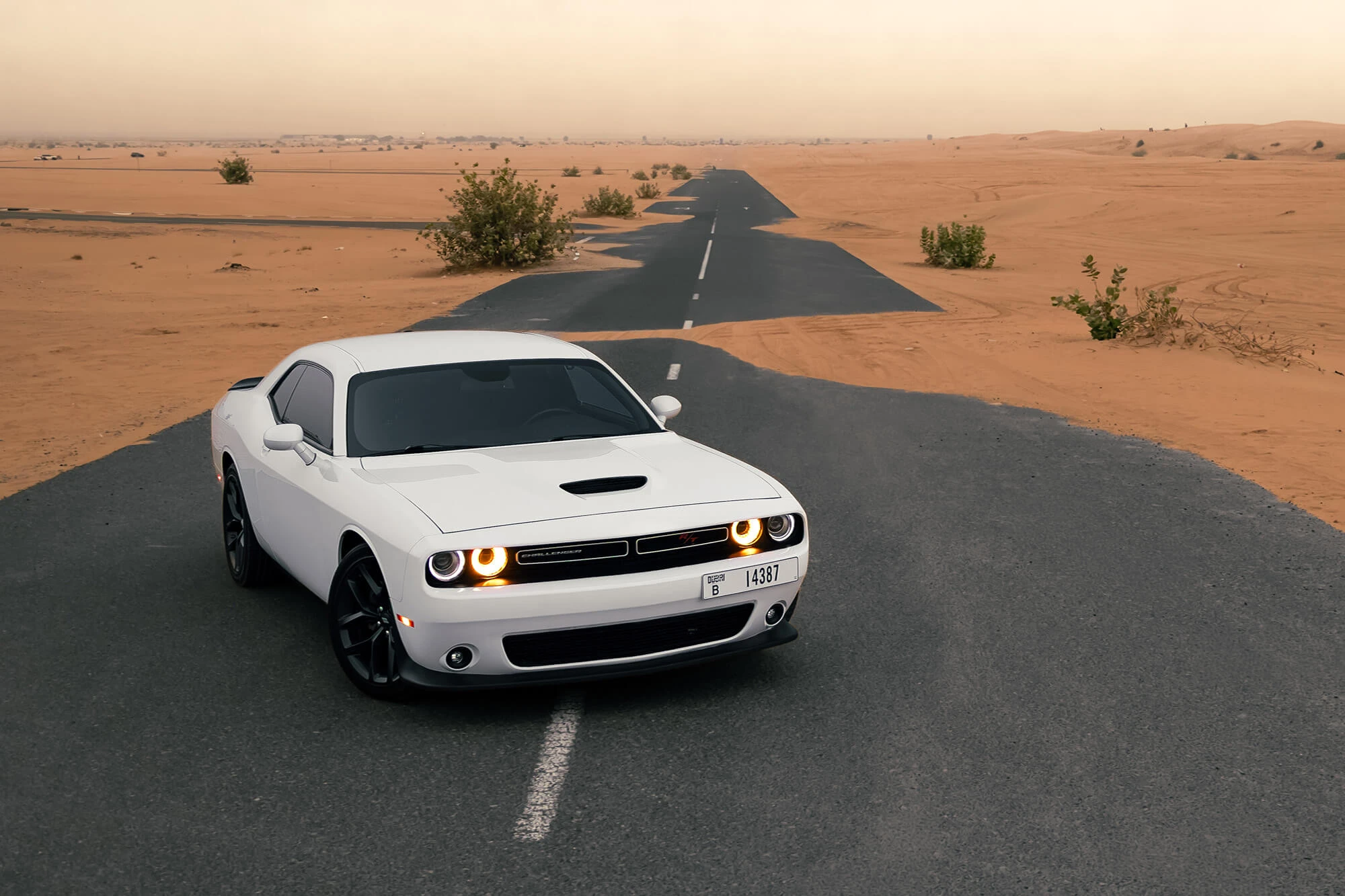 Rent Dodge Challenger R/T White in Dubai - Sportscars - Octane.Rent