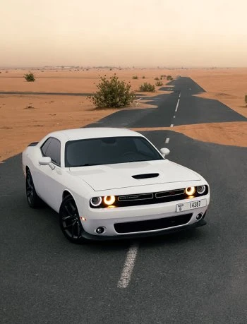 Dodge Challenger R/T  White