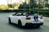 Ford Mustang New Gen Convertible White & Blue