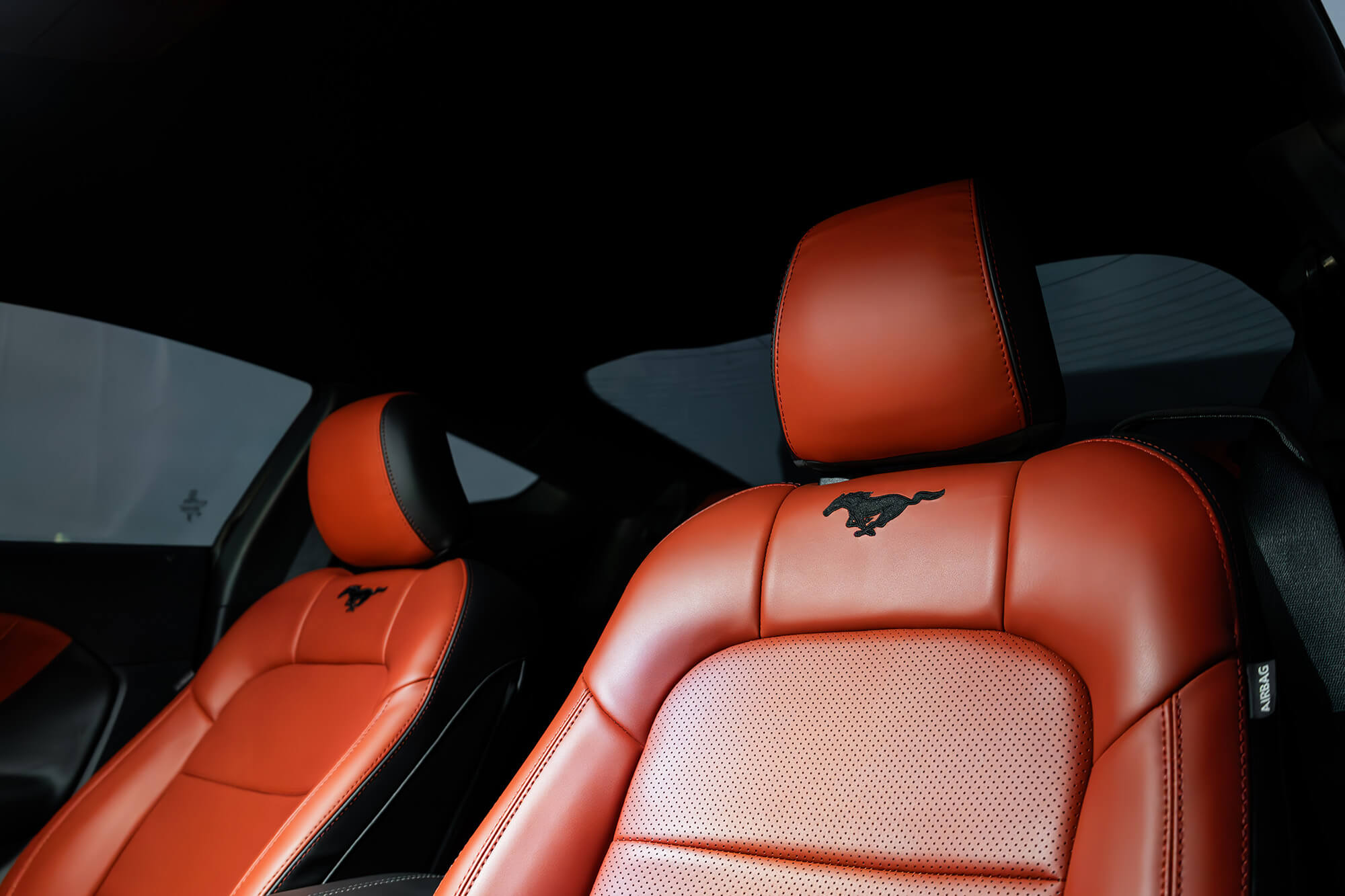 Ford Mustang New Gen White & Black