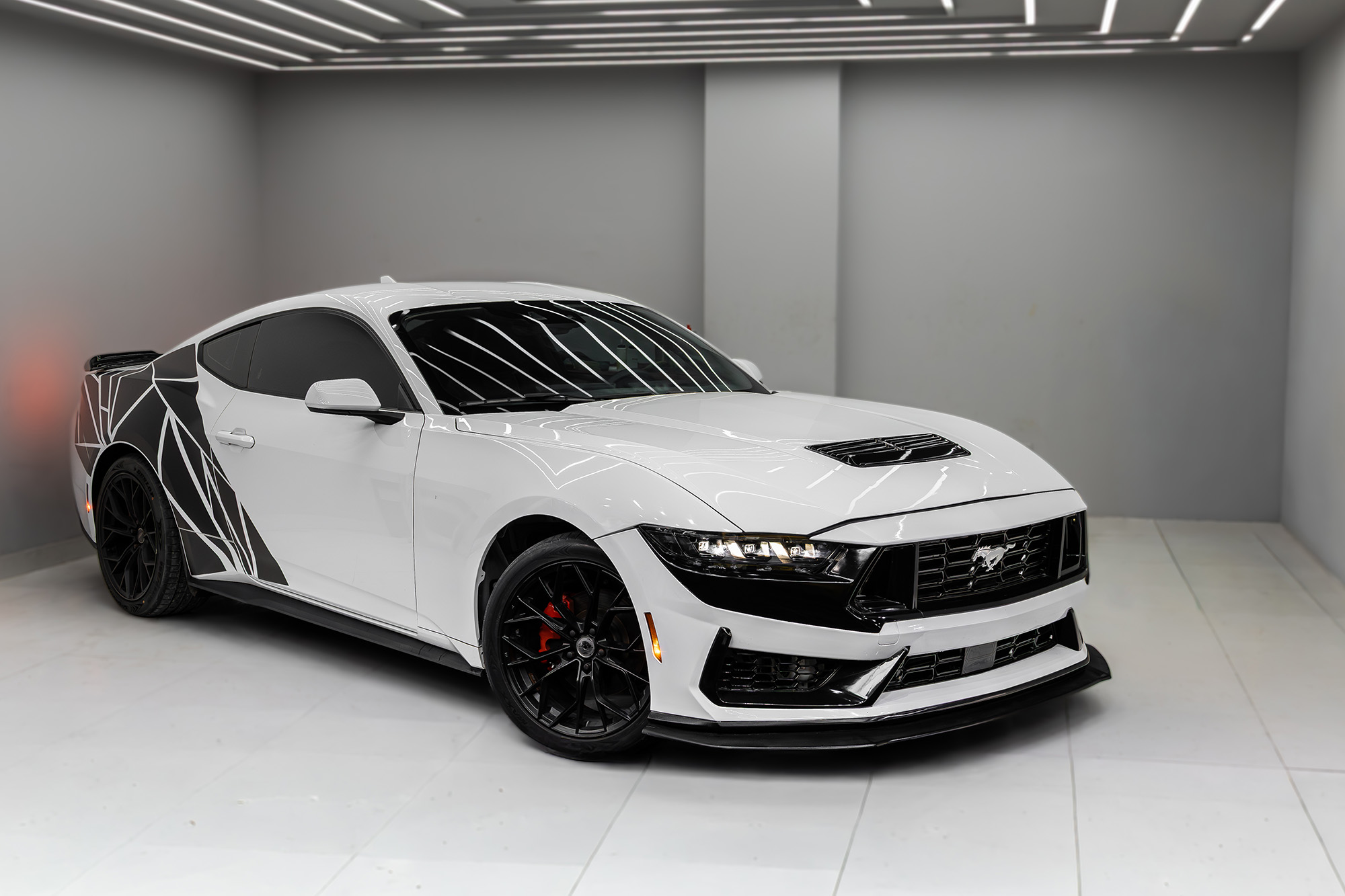 Ford Mustang New Gen White & Black