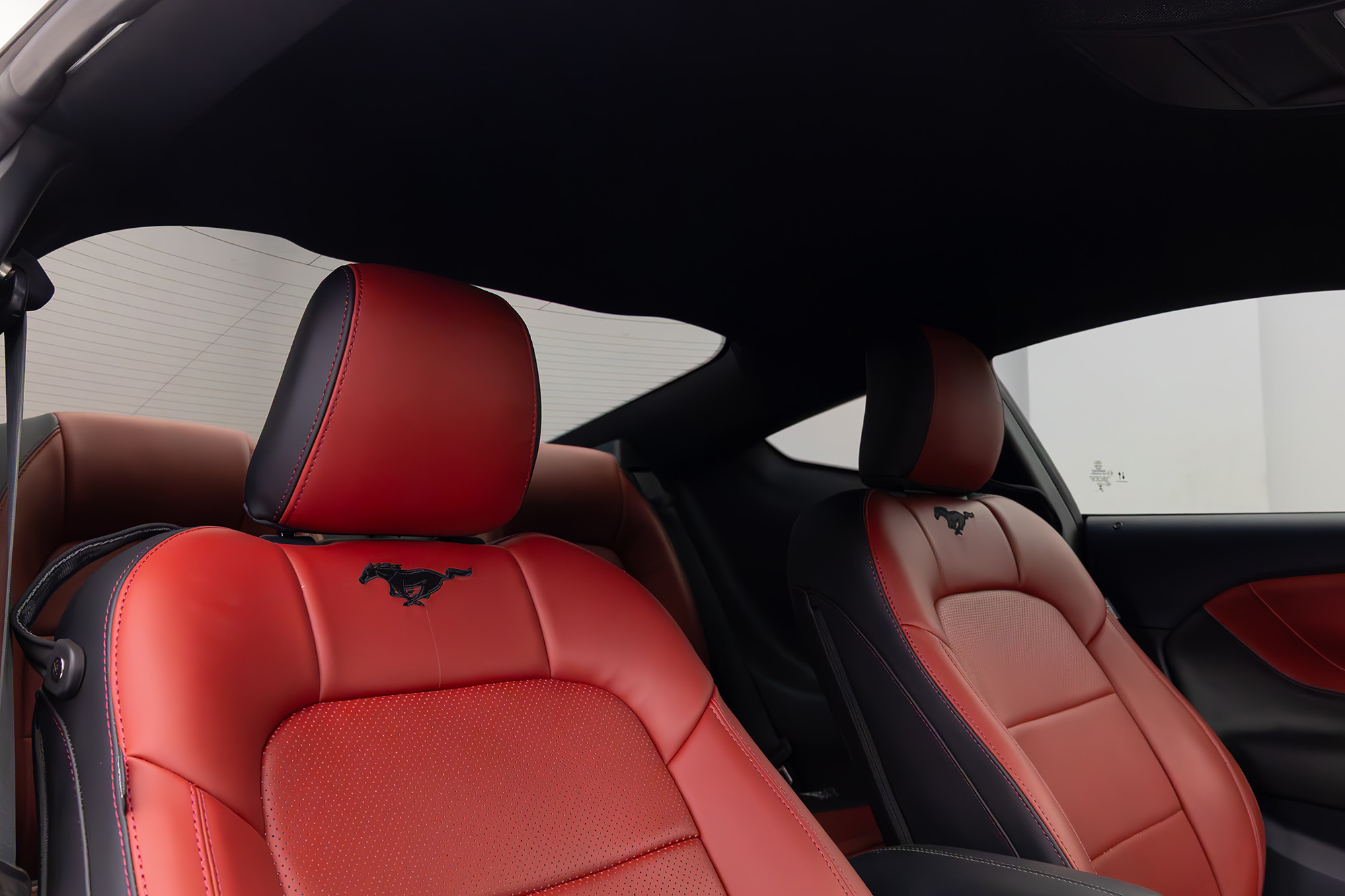 Ford Mustang New Gen White & Black