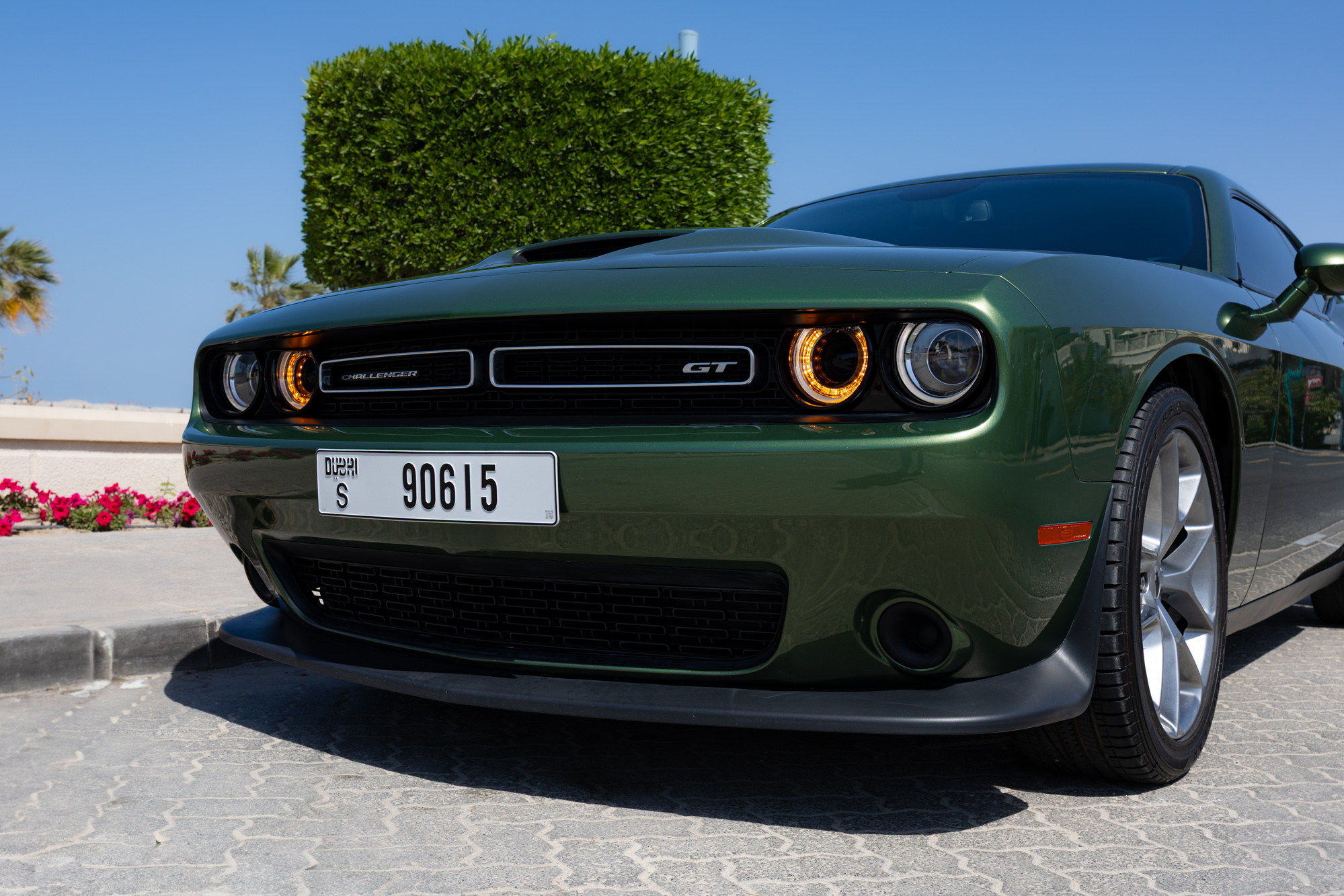 Dodge Challenger GT Green