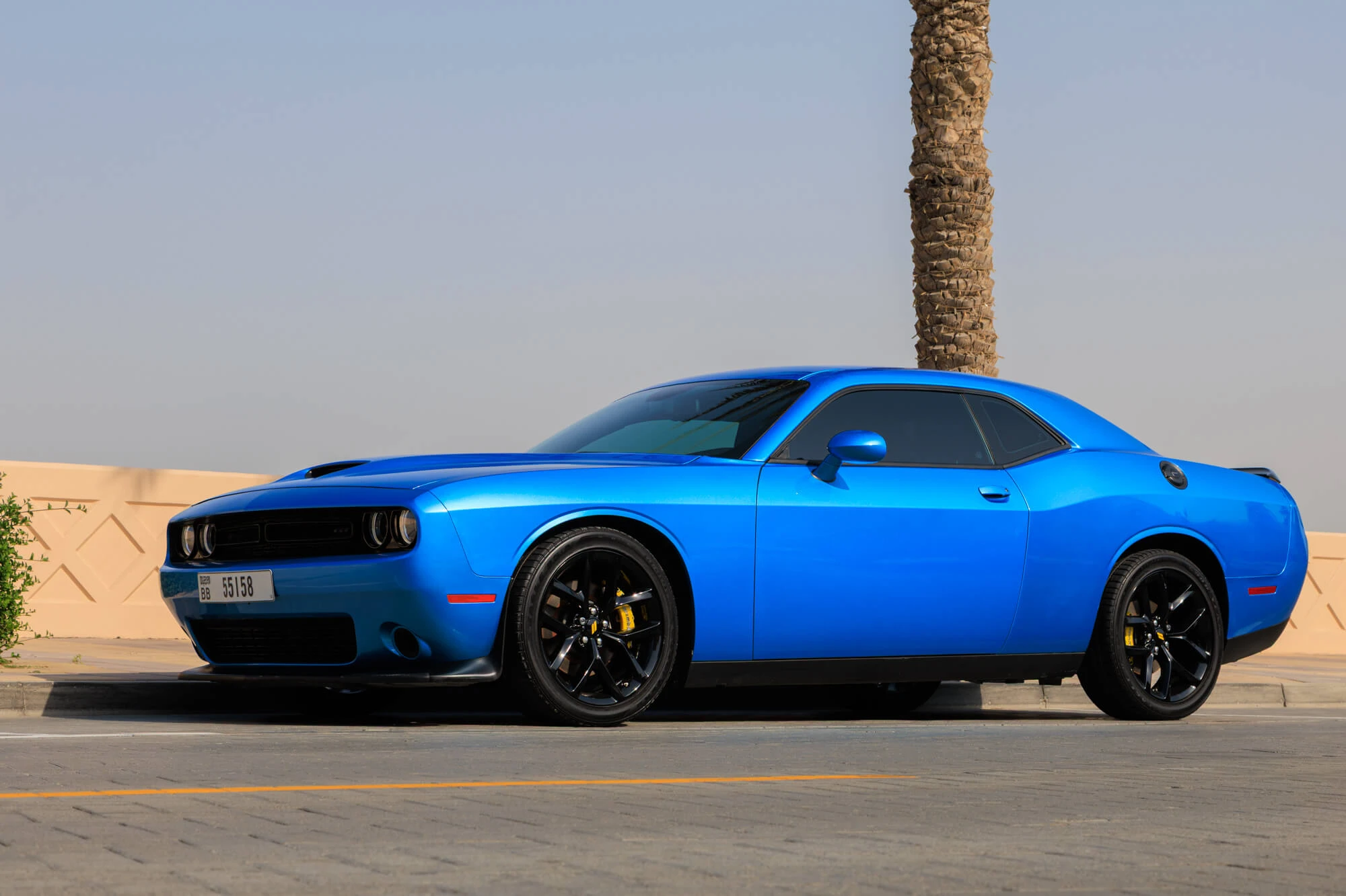 Dodge Challenger RT Blue