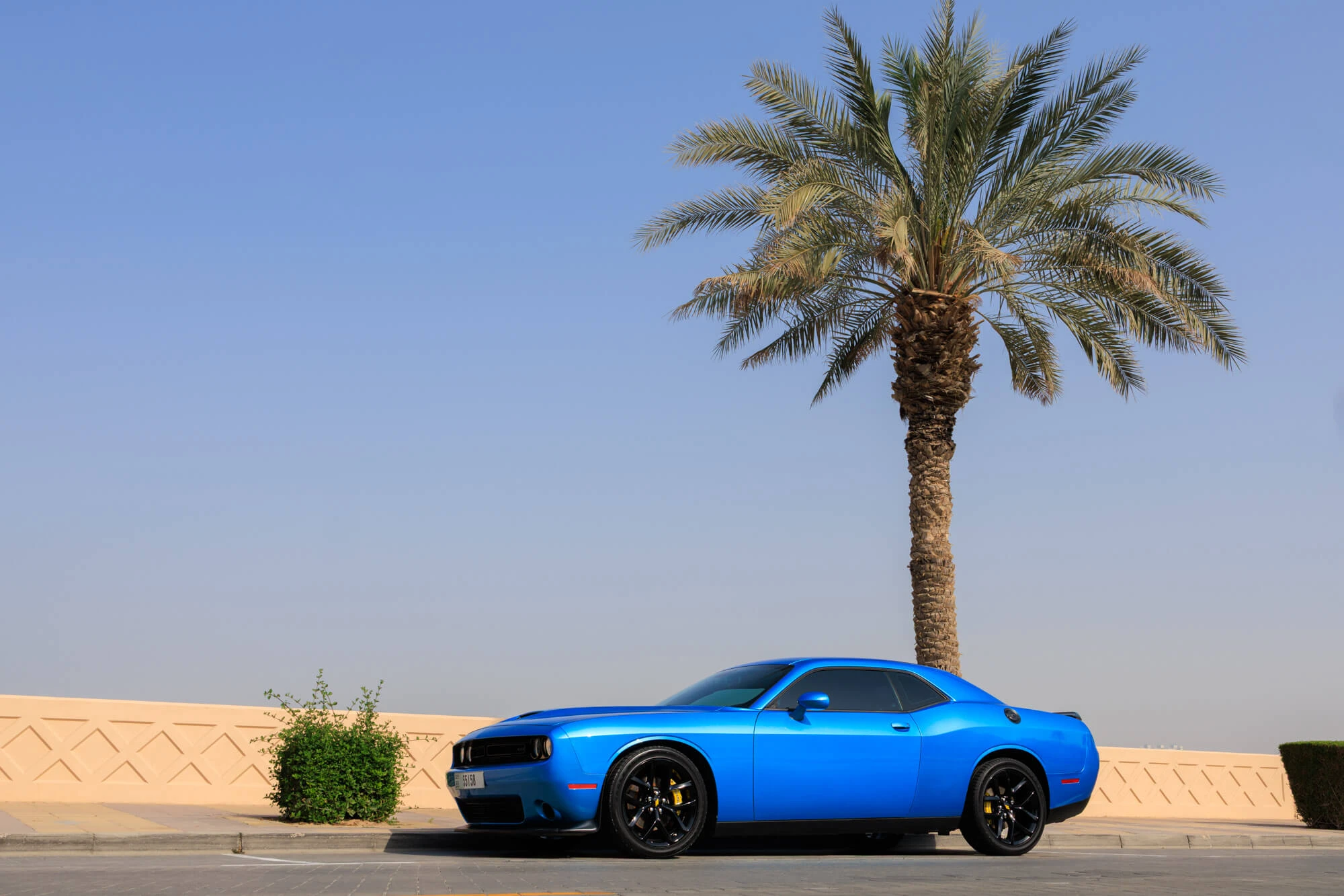 Dodge Challenger RT Blue