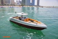 Amsca 40