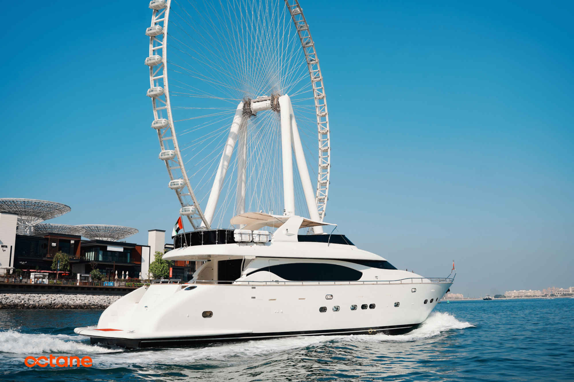 Maiora 29DP