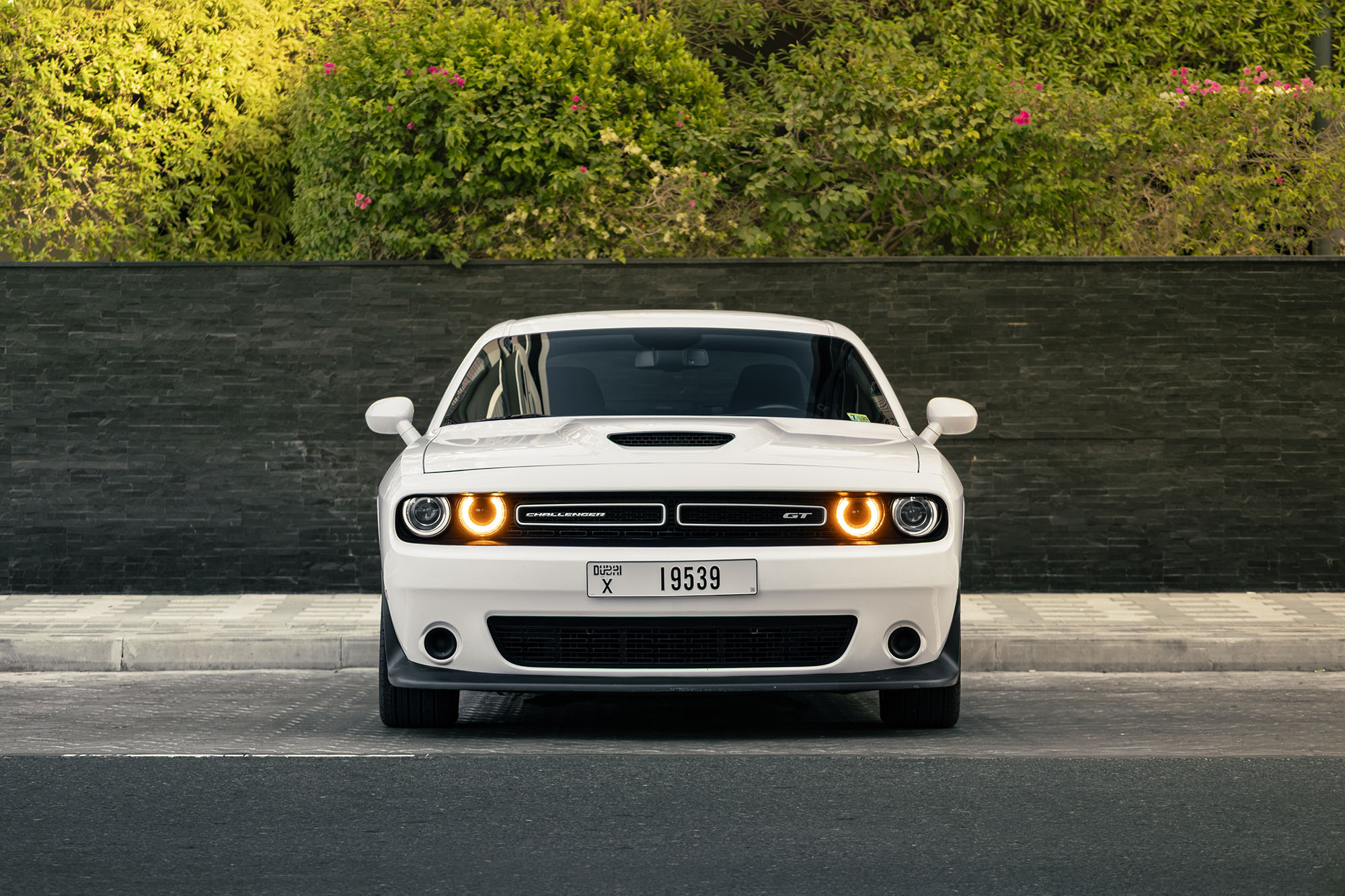 Dodge Challenger GT לבן Dodge Challenger GT לבן