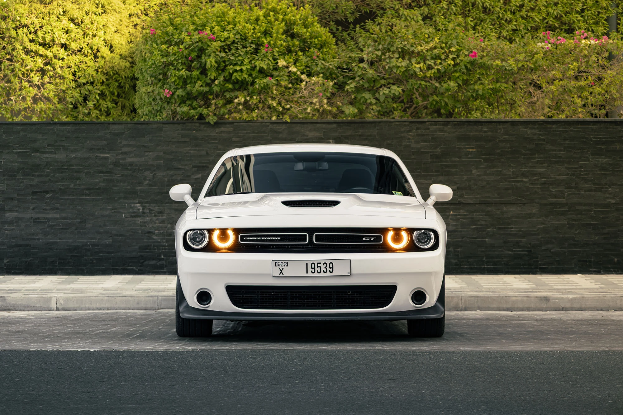 Dodge Challenger GT Bianco