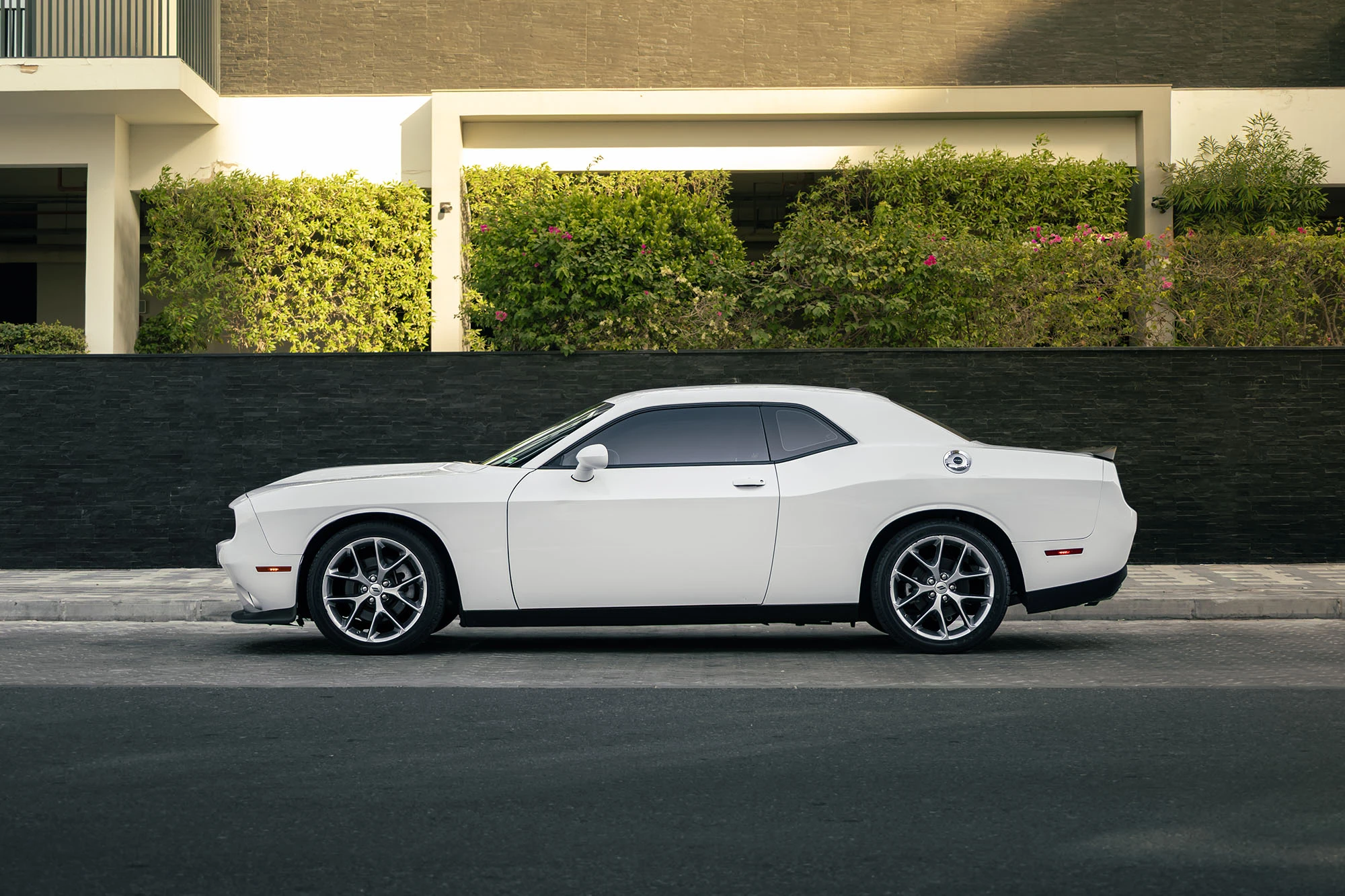 Dodge Challenger GT Bianco