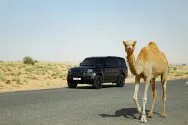 Land Rover Defender 130 אפור