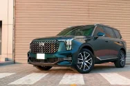 GAC GS8 — видео о зелёном цвете